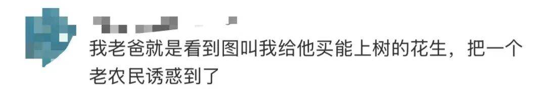 “花生上树”闹剧：AI翻车背后<strong></p>
<p>原油一桶多重</strong>，我们都在弄丢常识？