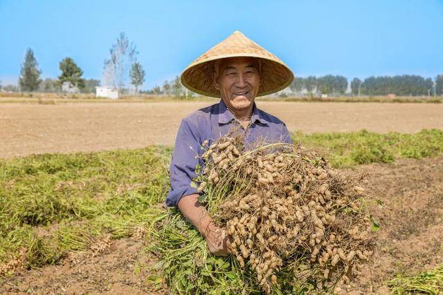 “花生上树”闹剧：AI翻车背后<strong></p>
<p>原油一桶多重</strong>，我们都在弄丢常识？