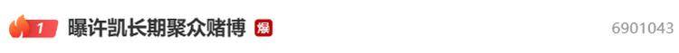 演员许凯被曝长期聚众赌博，一年金额高达百万？警方：已关注此事