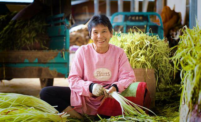 弥勒“新哨经验”<strong></p>
<p>一桶原油多重</strong>，全州推广！