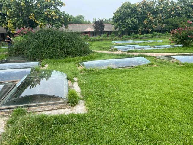 游客称殷墟博物馆人祭坑被填埋<strong></p>
<p>黄金</strong>，博物馆回应：坑内陈列物系复制品，因整修暂时填埋