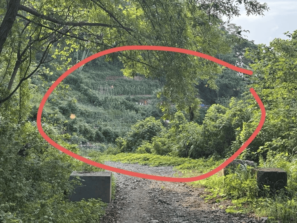 杭州女子误踩“化骨水”身亡<strong></p>
<p>原油</strong>，当地：已锁定化学品所有者，发现三桶，一桶完整，两桶残余