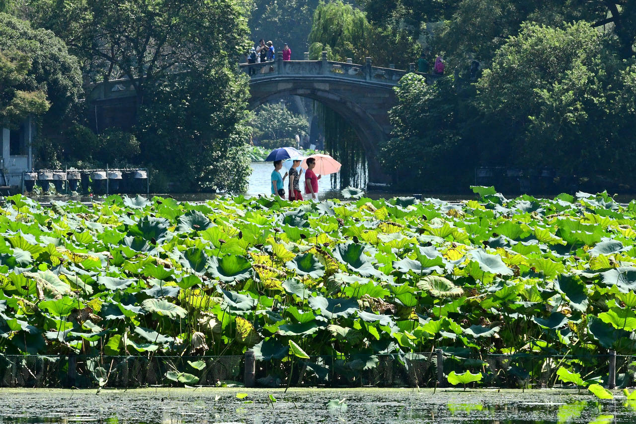 “三台共舞”对浙江有何影响？周末又有冷空气<strong></p>
<p>原油最新新闻</strong>，气温舒适