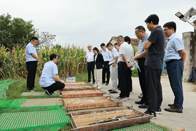 江苏发现金矿<strong></p>
<p>原油最新新闻</strong>！离扬州不远！