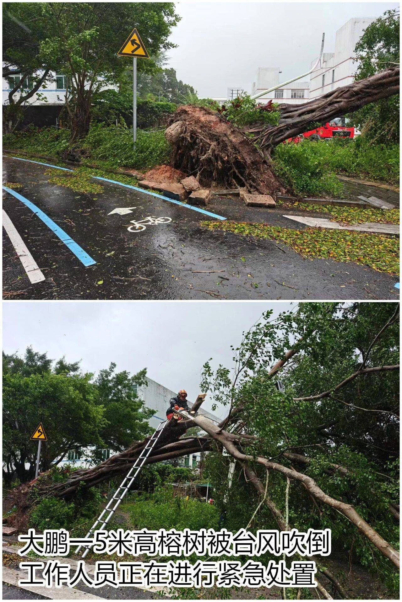 台风夜<strong></p>
<p>阳春房产资讯网</strong>，深圳有人溺水！紧急！“桦加沙”过境，这些画面泪目