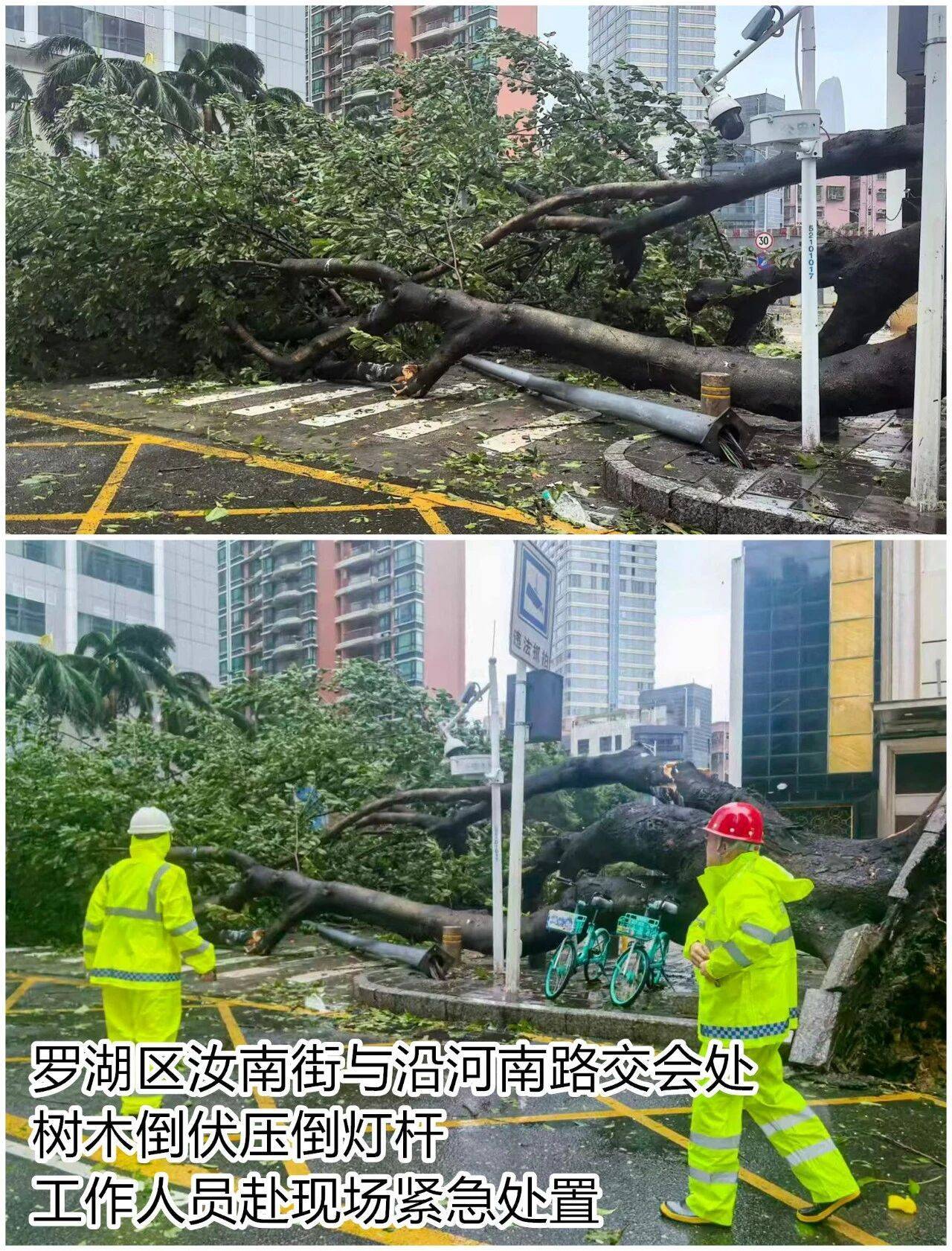 台风夜<strong></p>
<p>阳春房产资讯网</strong>，深圳有人溺水！紧急！“桦加沙”过境，这些画面泪目