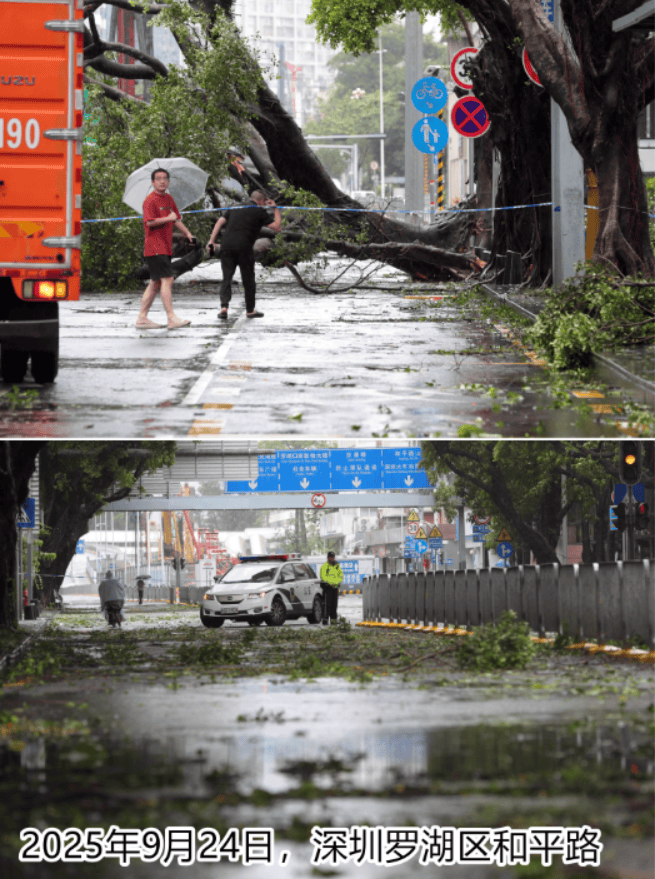 台风夜<strong></p>
<p>阳春房产资讯网</strong>，深圳有人溺水！紧急！“桦加沙”过境，这些画面泪目