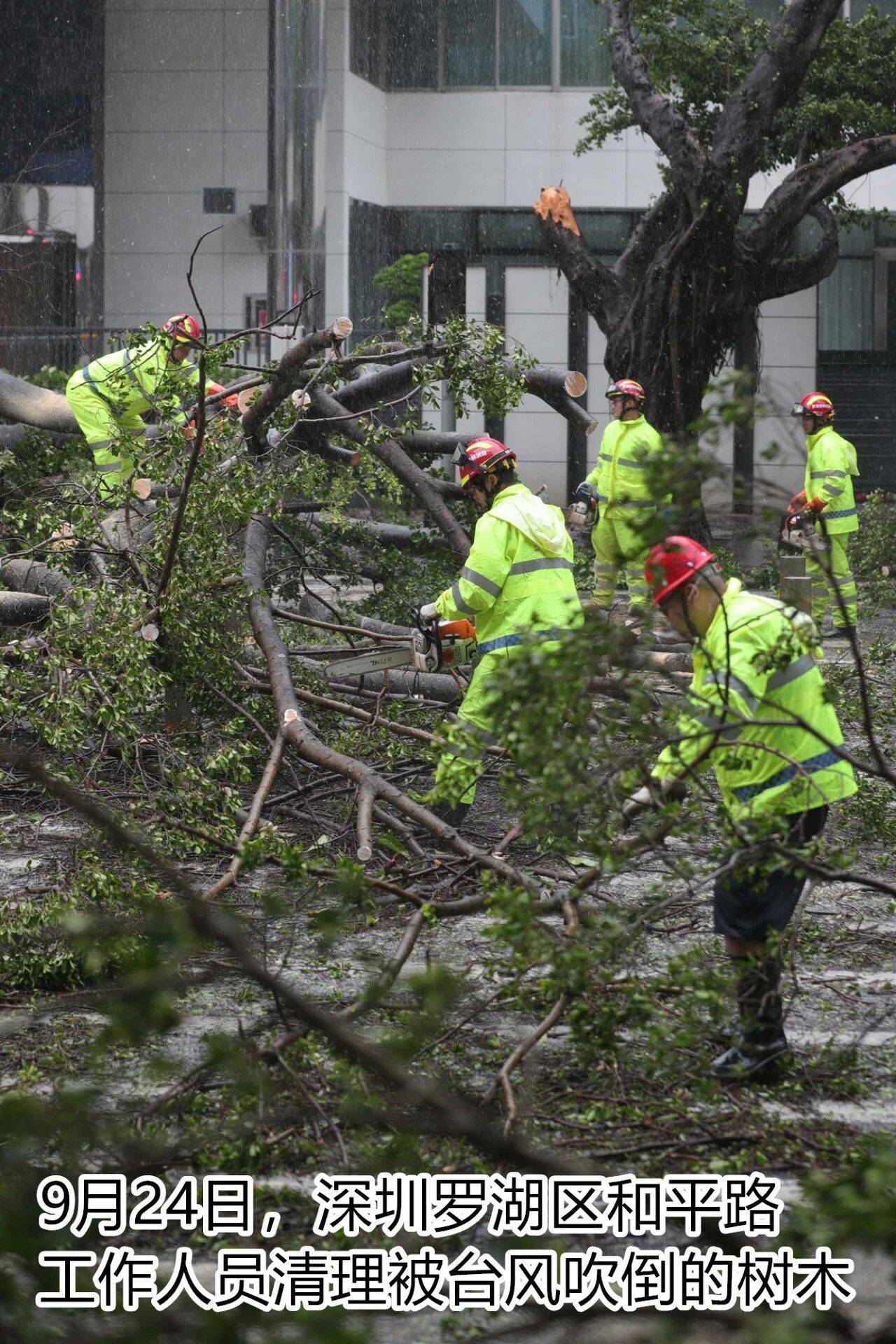 台风夜<strong></p>
<p>阳春房产资讯网</strong>，深圳有人溺水！紧急！“桦加沙”过境，这些画面泪目
