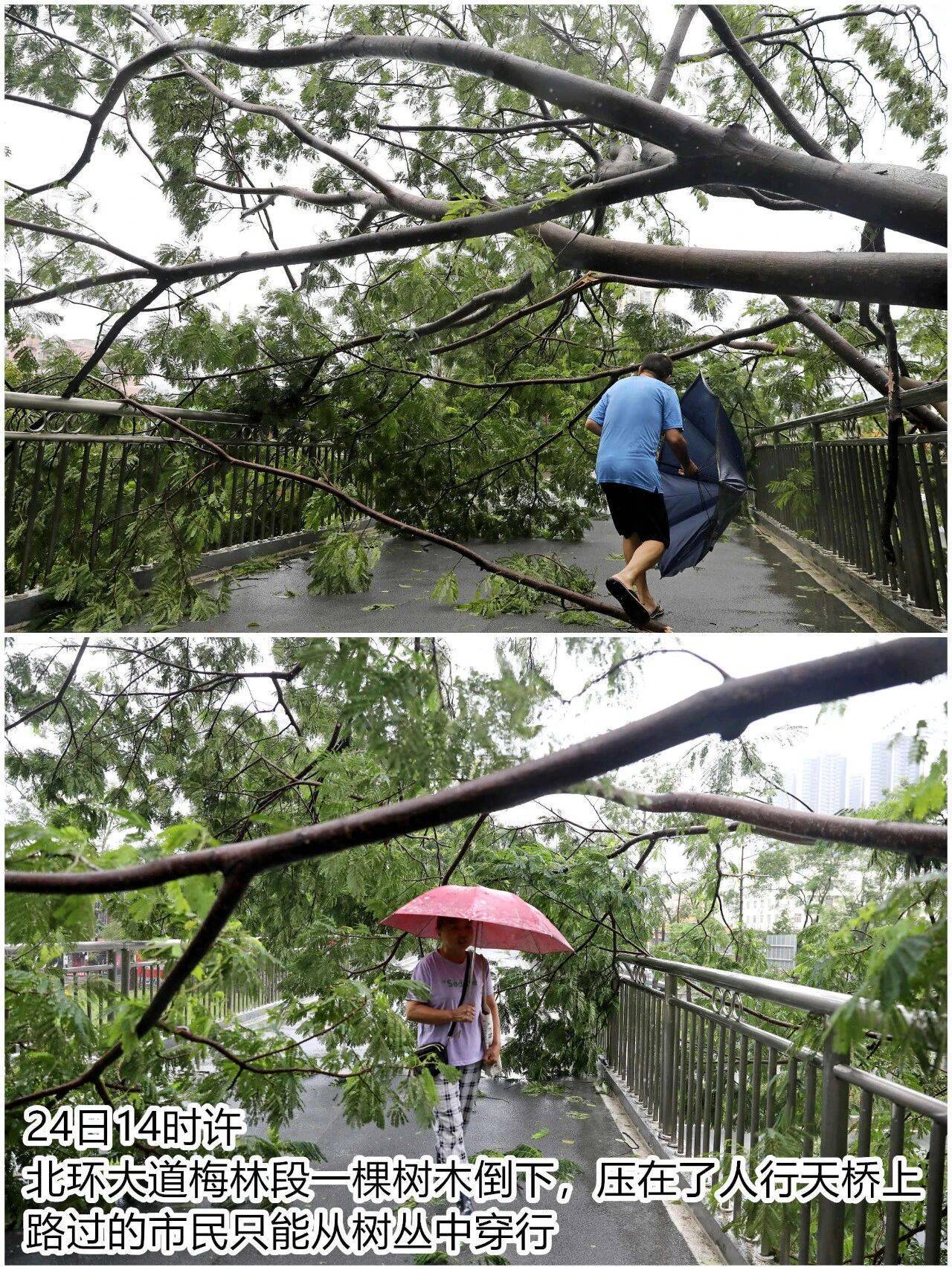 台风夜<strong></p>
<p>阳春房产资讯网</strong>，深圳有人溺水！紧急！“桦加沙”过境，这些画面泪目