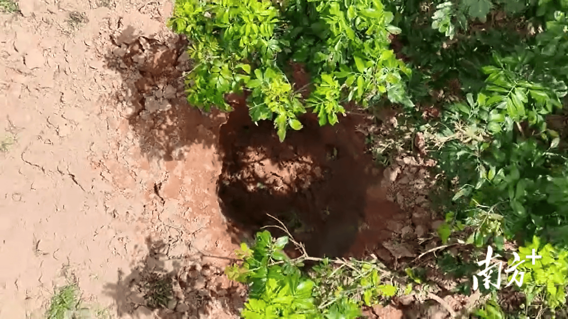 423公斤陨石在茂名电白挖出<strong></p>
<p>阳春房产资讯网</strong>，系国内目击降落第二大单体陨石