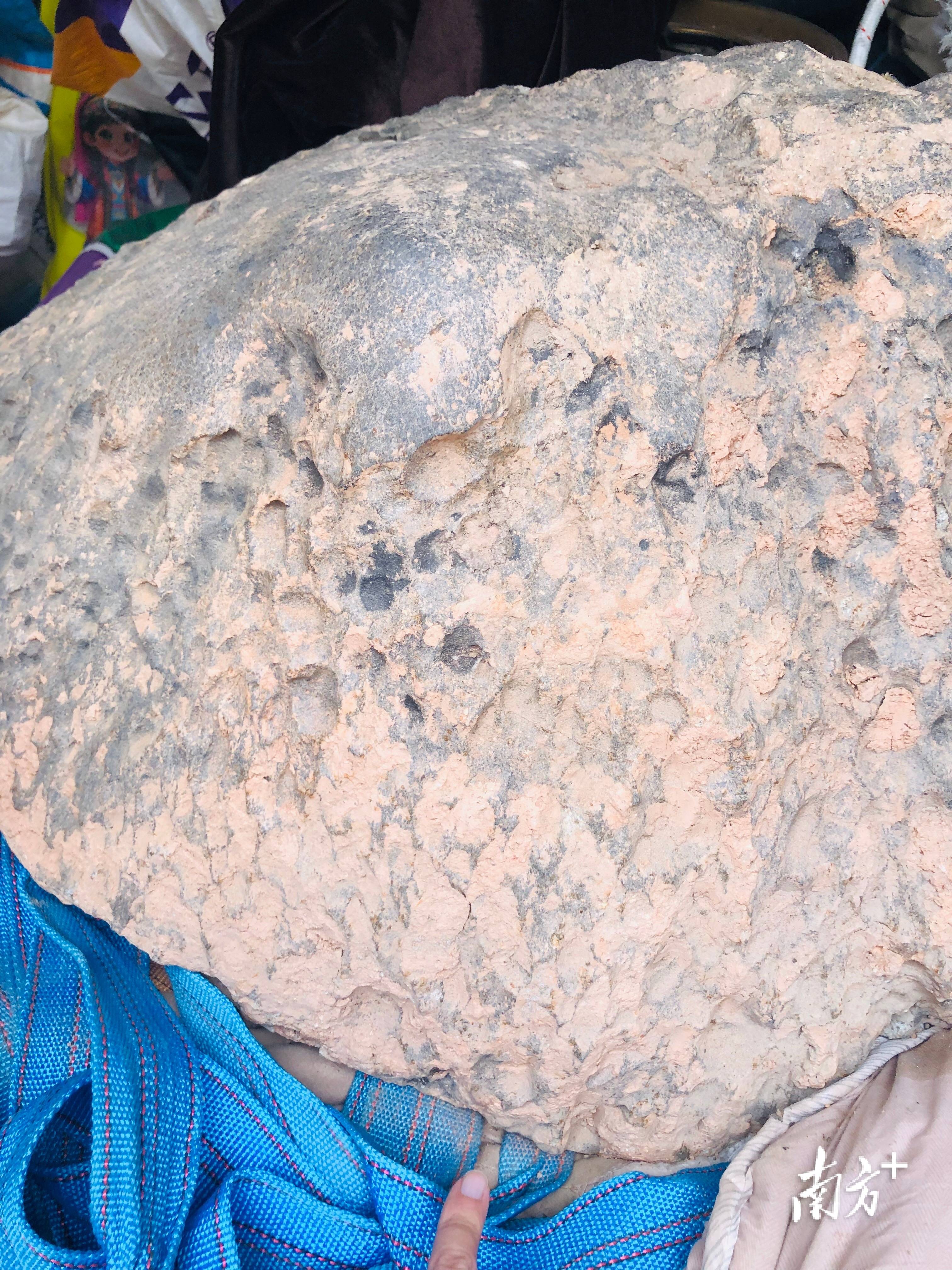 423公斤陨石在茂名电白挖出<strong></p>
<p>阳春房产资讯网</strong>，系国内目击降落第二大单体陨石