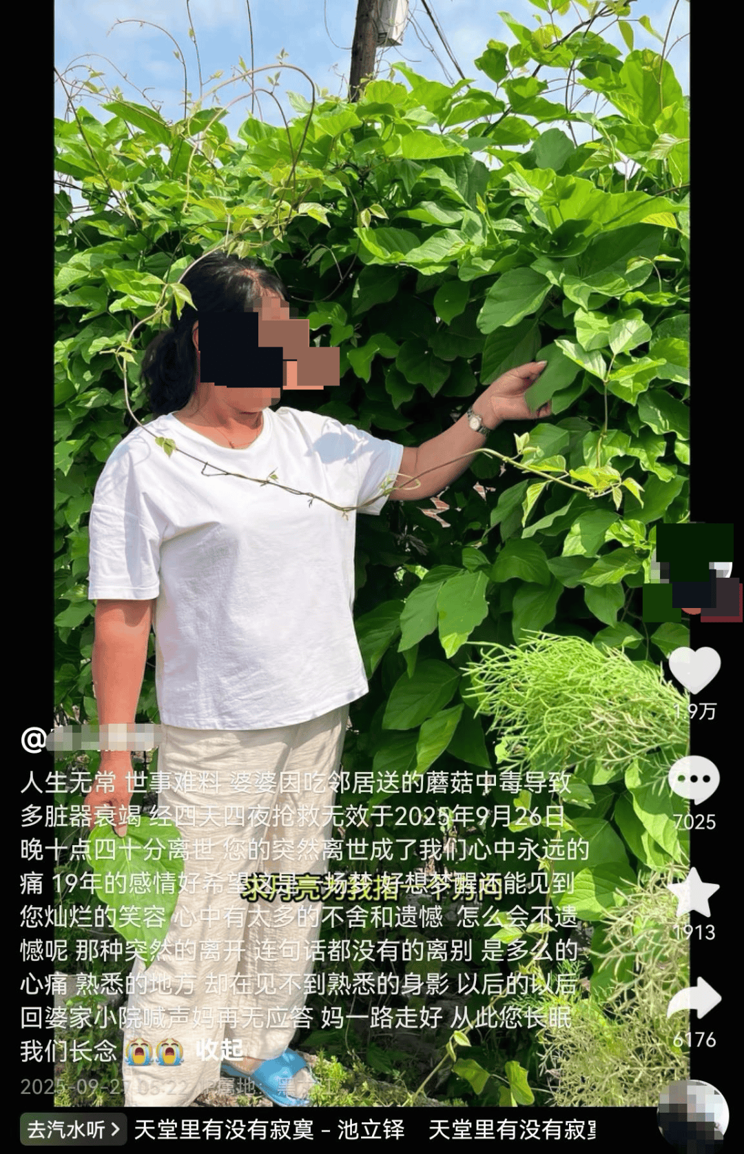 网红发文悼念婆婆：吃了邻居送的蘑菇中毒<strong></p>
<p>凤凰卫视资讯台节目表</strong>，抢救四天四夜死亡！这些蘑菇避毒原则可能是陷阱→