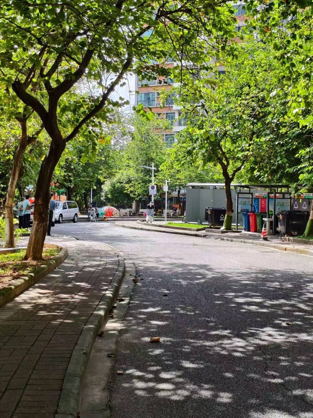 华南理工校园车祸引深思：校园限速多少，如何惩戒违章