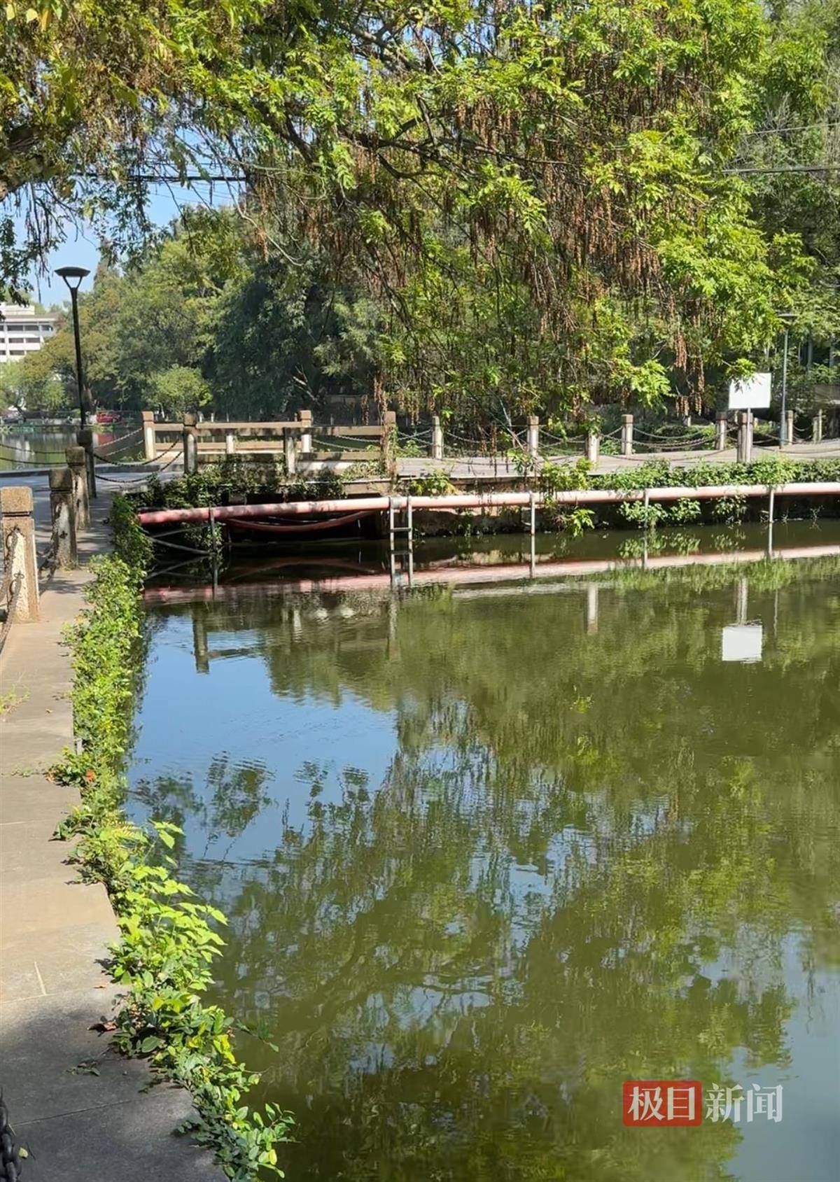 对话鸡排哥李俊永：爆火后每天一二十个镜头对着我<strong></p>
<p>中国投资资讯网007</strong>，未来不考虑直播带货，更愿意和顾客待在一起