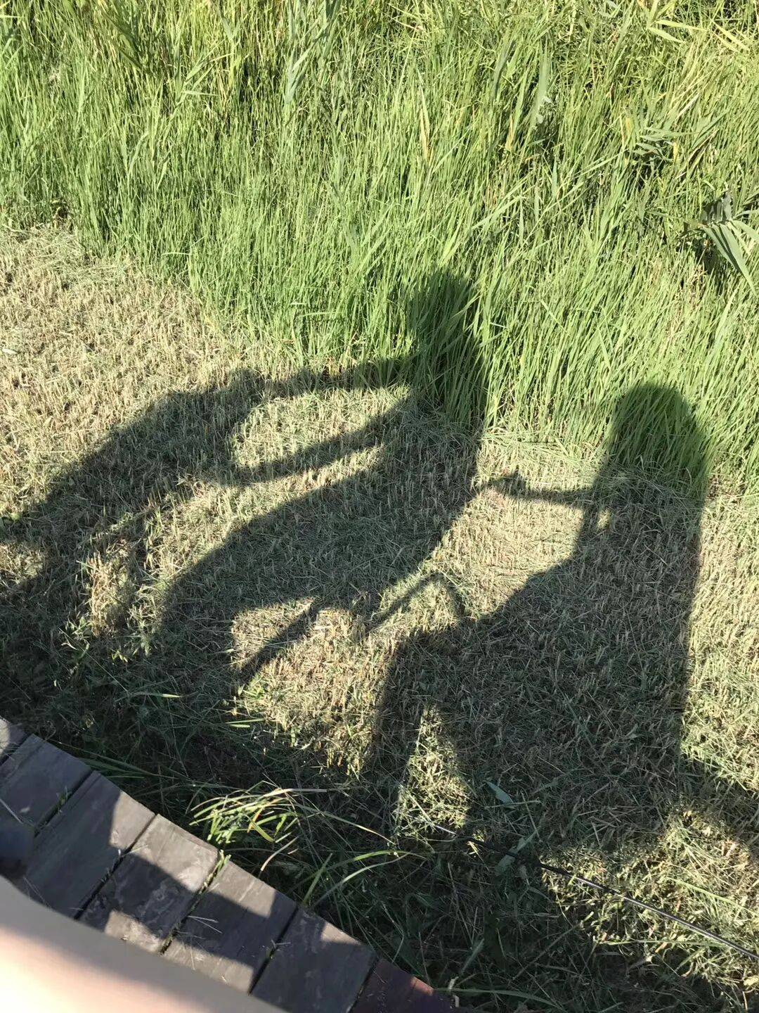 纸质火车票退场<strong></p>
<p>中国投资资讯网007</strong>，每道折痕里都藏着远方、爱情与山河记忆