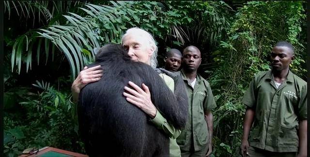 “课本上的传奇”<strong></p>
<p>豆粕资讯信息</strong>，走了