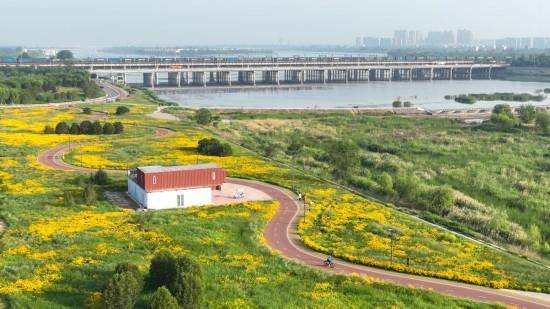 追光丨走出家门 来探探身边的环城绿道！