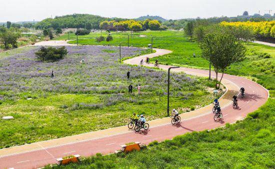 追光丨走出家门 来探探身边的环城绿道<strong></p>
<p>豆粕资讯信息</strong>！