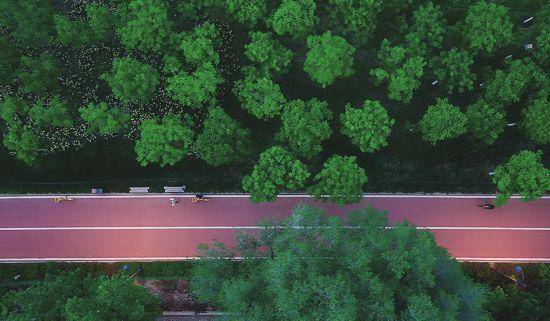 追光丨走出家门 来探探身边的环城绿道<strong></p>
<p>豆粕资讯信息</strong>！