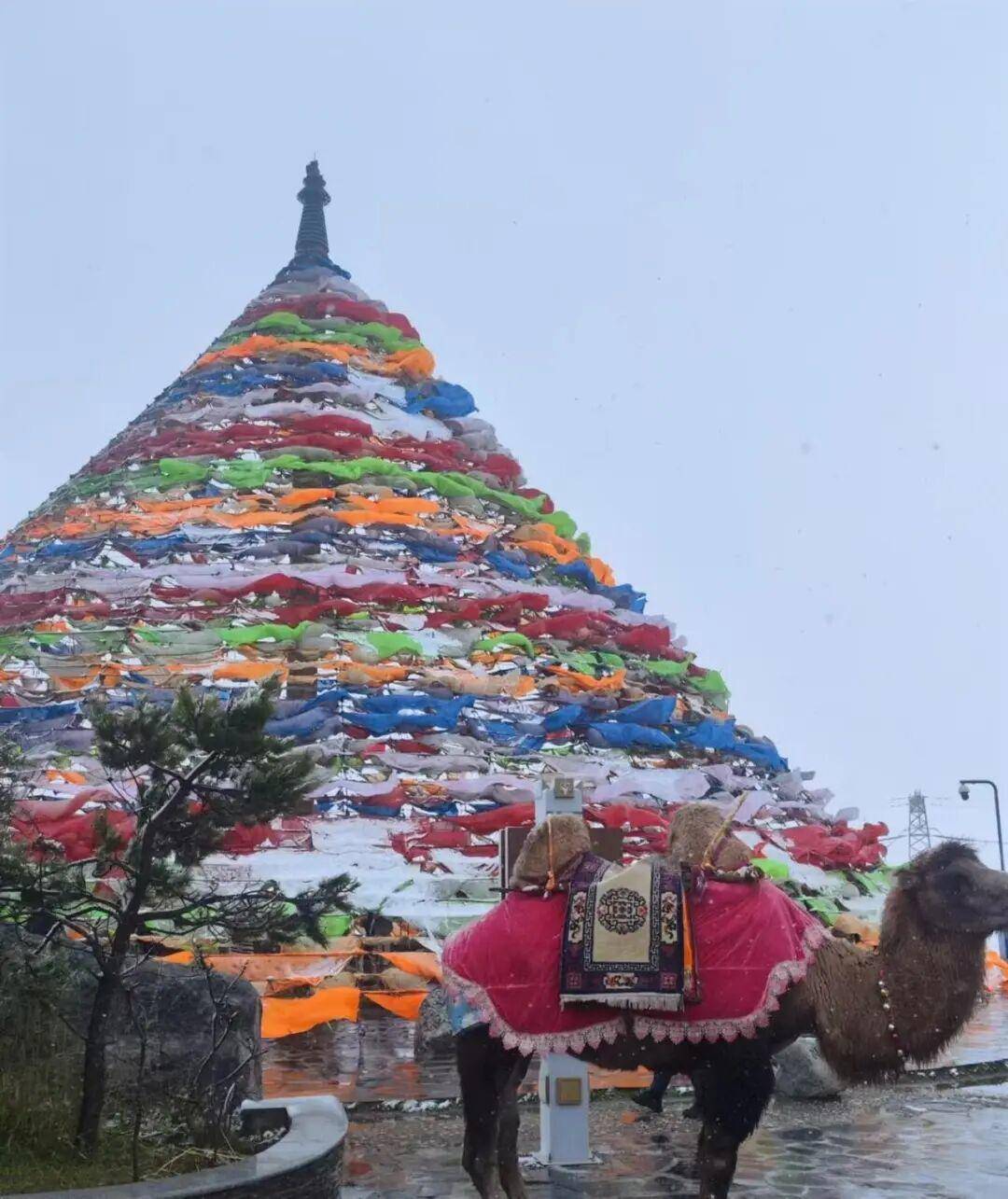 多地突降大雪<strong></p>
<p>豆粕资讯信息</strong>！