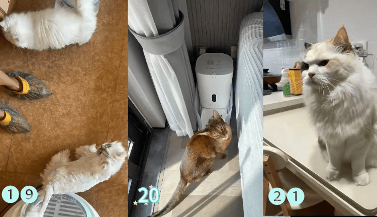 这个需求激增！一男子连接270单<strong></p>
<p>香港赛冯资讯</strong>，其中一笔收费8100元