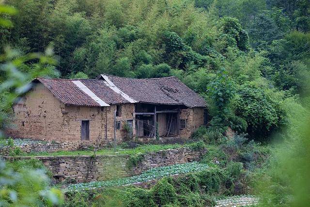 没人住的房子，为什么会“老”得特别快？