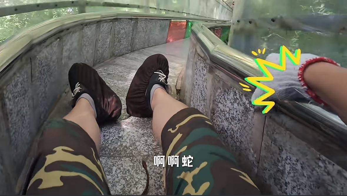 游客称在广西丹炉山滑道遇蛇<strong></p>
<p>中国投资</strong>，景区致歉：这么多年就这一次，每年都做防蛇处理