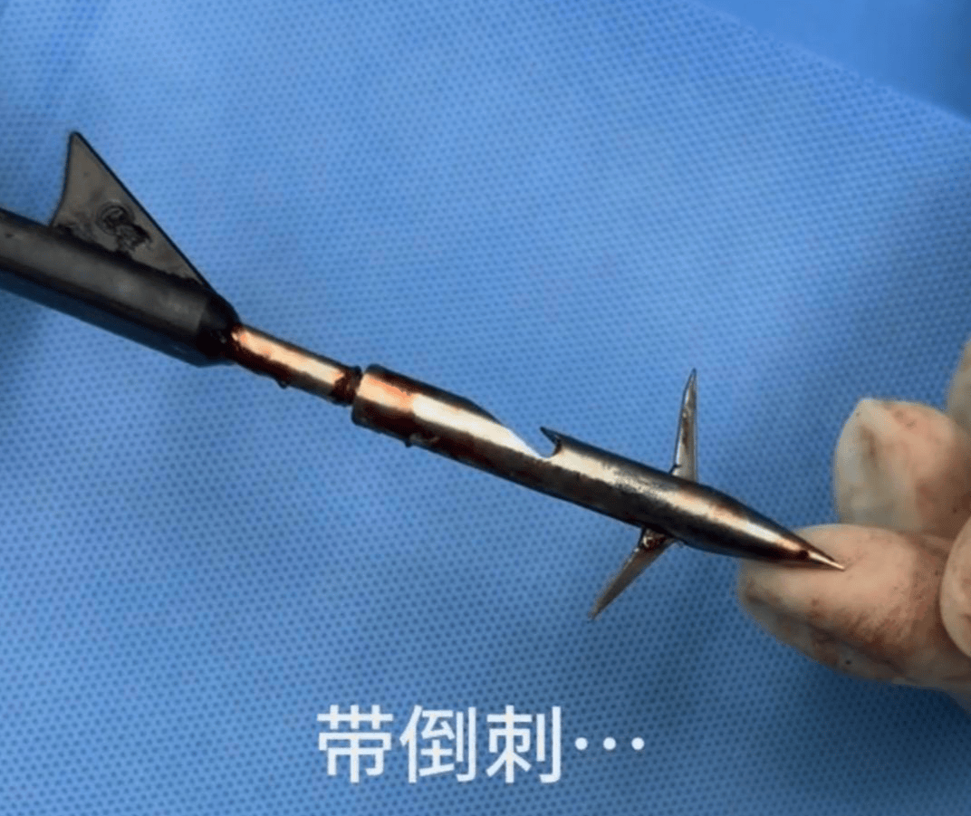 教育局回应“一教师用弓箭射杀小狗”：不实<strong></p>
<p>资讯网交易</strong>，小狗进学校前就被射伤