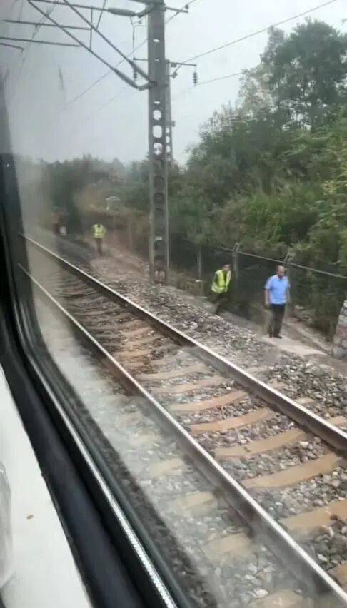 湖北一列车撞上野猪致停运<strong></p>
<p>资讯网交易</strong>，铁路局：野猪已无害化处理，列车正常运行；附近曾发生多起野猪伤人事件