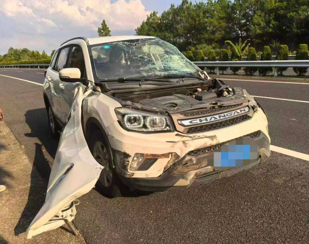 “我撒谎天打雷劈！”男子高速突然强行变道致翻车<strong></p>
<p>资讯网交易</strong>，反诬赖对方