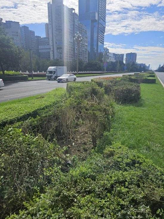 小米汽车失控起火司机遇难<strong></p>
<p>世界电影之旅</strong>，目击者称车速150km/h，实探事故地：燃烧留下的印记仍在