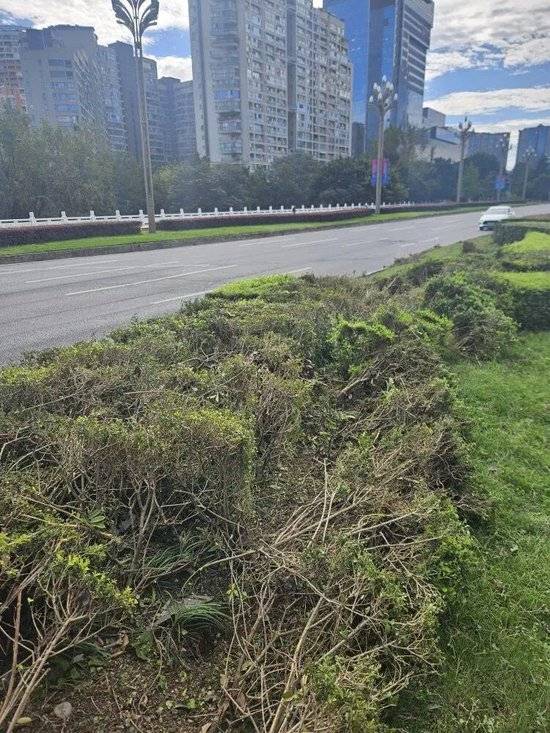 小米汽车失控起火司机遇难<strong></p>
<p>世界电影之旅</strong>，目击者称车速150km/h，实探事故地：燃烧留下的印记仍在