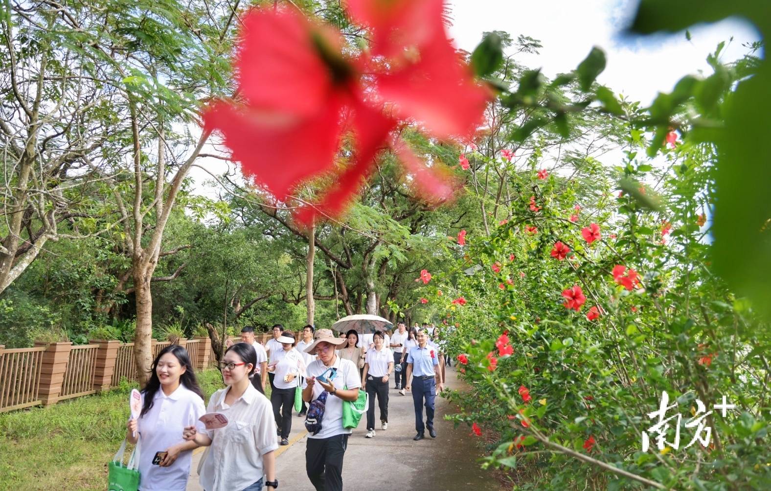 中山城建集团“连心桥”移交<strong></p>
<p>世界电影之旅</strong>，村企共建绘就桂南新画卷