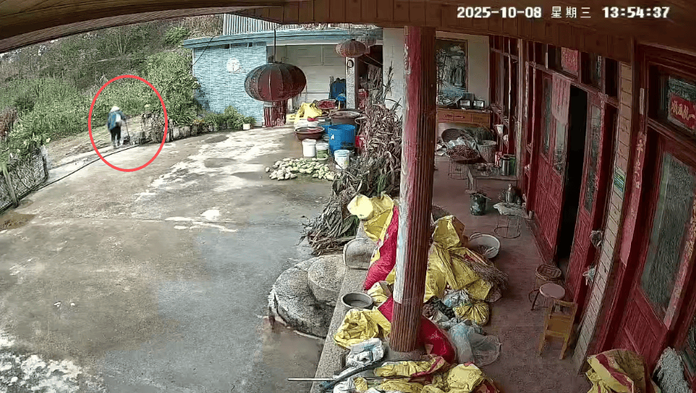 93岁老人进山失联<strong></p>
<p>蔡徐坤</strong>，两天后发现他倒挂在树杈上苦撑……