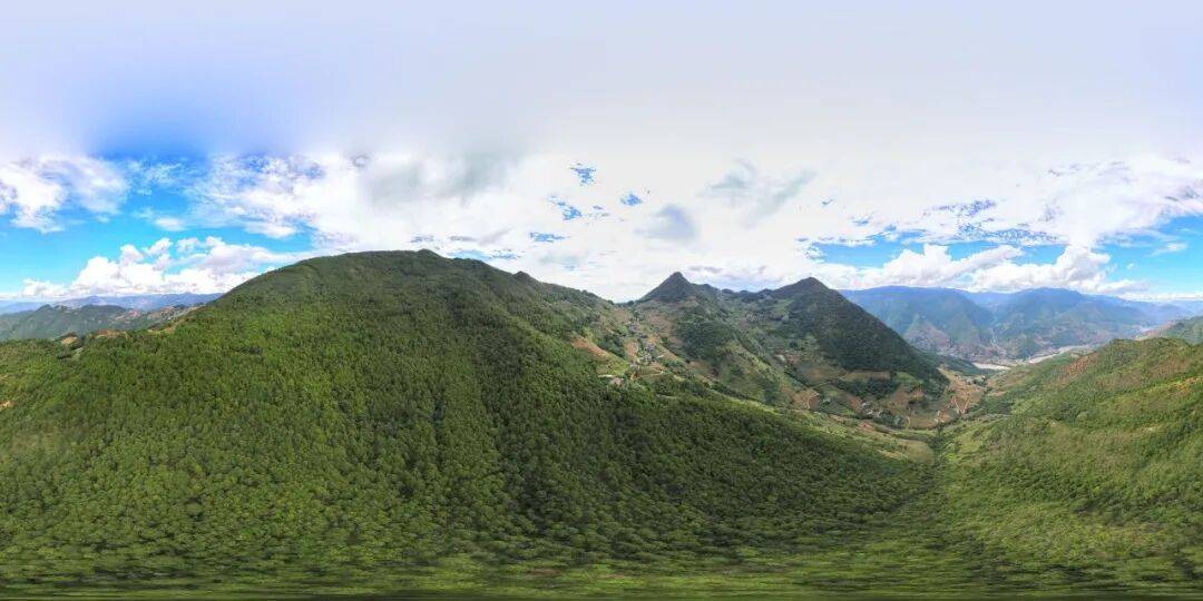 93岁老人进山失联<strong></p>
<p>蔡徐坤</strong>，两天后发现他倒挂在树杈上苦撑……