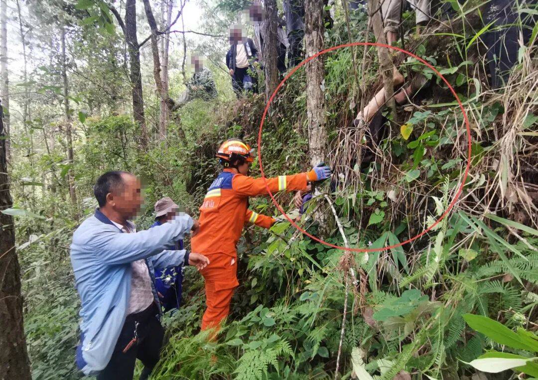 93岁老人进山失联<strong></p>
<p>蔡徐坤</strong>，两天后发现他倒挂在树杈上苦撑……