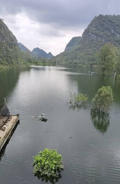 百色多个村庄被困水中已超半月<strong></p>
<p>林俊杰资讯台微博新浪</strong>，长涝难退为何重演？