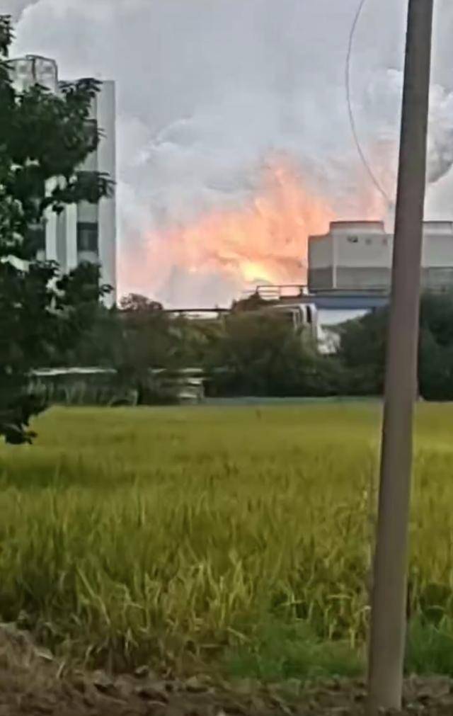 澄星股份工厂发生火灾？附近酒店：已灭火<strong></p>
<p>张店卓创资讯怎么样</strong>，有刺激性气味，建议不开窗