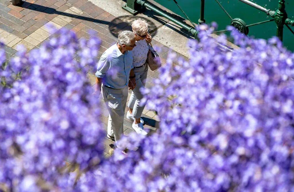 别说自己老了<strong></p>
<p>张店卓创资讯怎么样</strong>，大脑功能或60岁时达巅峰