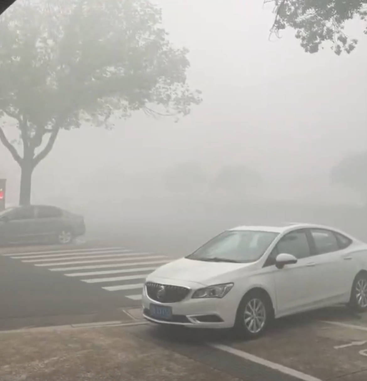 江苏一化工厂发生火灾<strong></p>
<p>张店卓创资讯怎么样</strong>，现场燃起冲天浓烟街道被烟雾笼罩，当地：将通报，未致人员伤亡