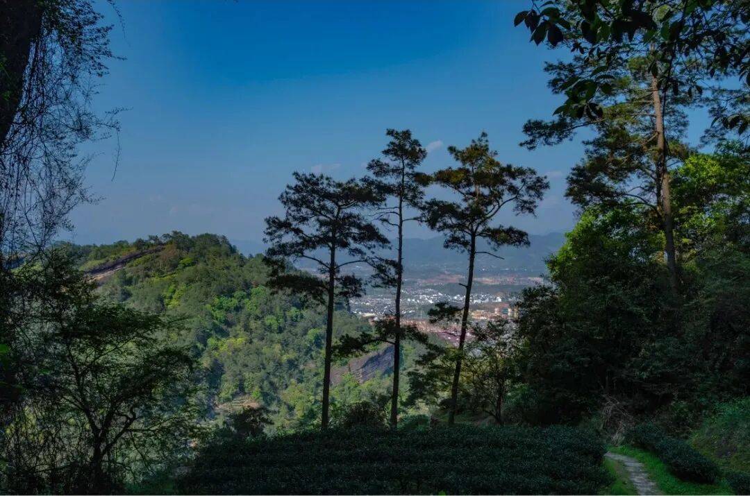 为什么年轻人迷上了爬山？ | 秋高气爽<strong></p>
<p>西安博通资讯股份</strong>，是时候出发了→