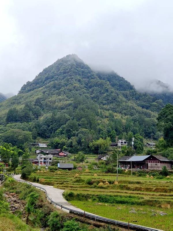 推窗见梯田<strong></p>
<p>西安博通资讯股份</strong>！梧桐山民宿：把日子过成诗