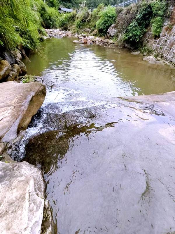 推窗见梯田<strong></p>
<p>西安博通资讯股份</strong>！梧桐山民宿：把日子过成诗