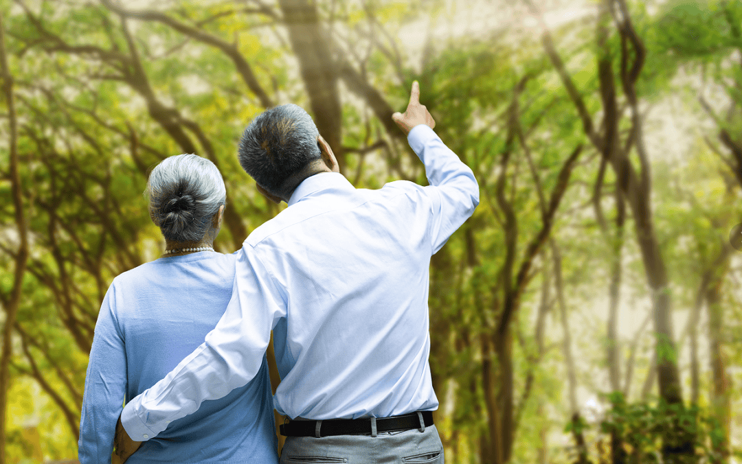 敬老月护“钱袋子”丨远离非法金融，守住幸福晚年