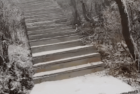 石家庄下雪了<strong></p>
<p>中宇化工资讯网</strong>！河北雨雪上线！新一股冷空气在路上……