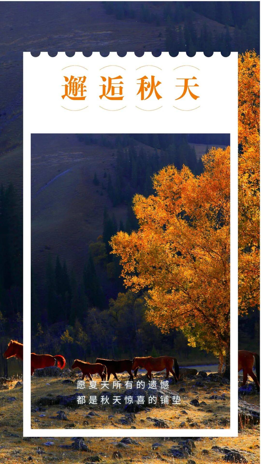 邂逅博州的秋天<strong></p>
<p>中宇化工资讯网</strong>，从从容容游刃有余