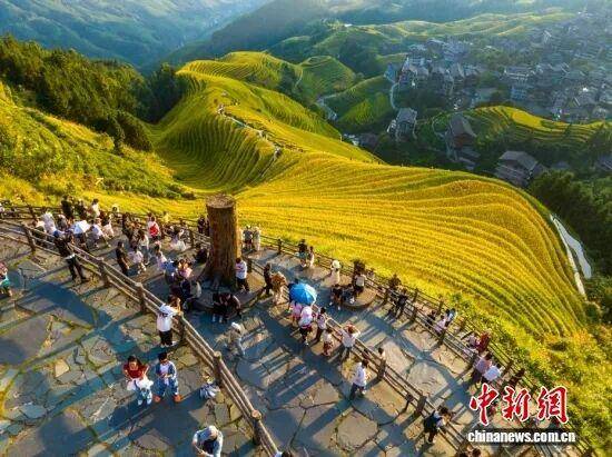 金秋<strong></p>
<p>中宇化工资讯网</strong>，广西的梯田一点不输！