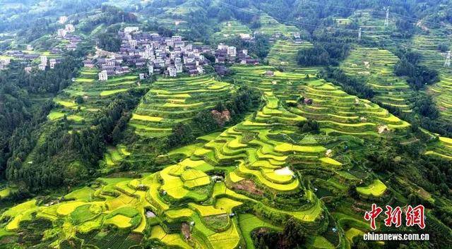 金秋<strong></p>
<p>中宇化工资讯网</strong>，广西的梯田一点不输！