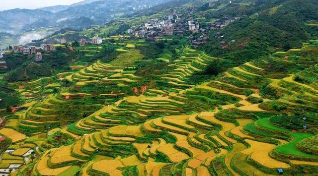 金秋<strong></p>
<p>中宇化工资讯网</strong>，广西的梯田一点不输！