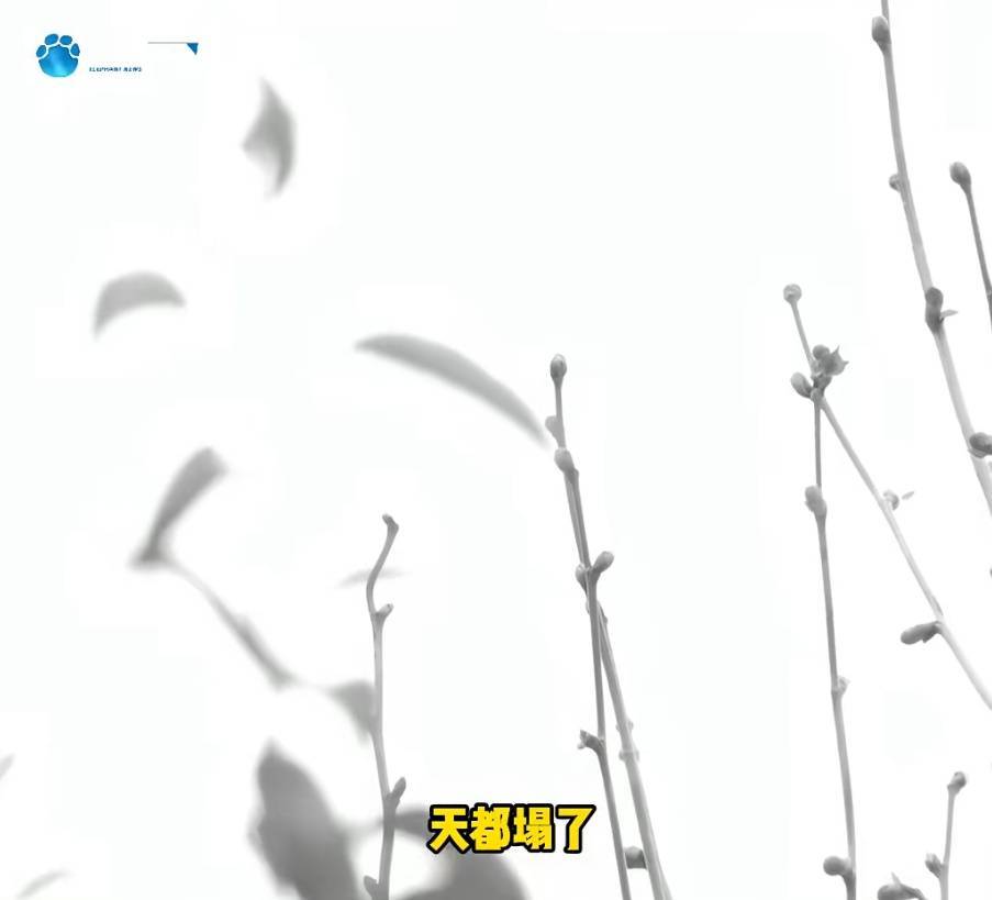 “天塌了<strong></p>
<p>听资讯</strong>，我一生都毁了”，男子称养了20年才发现儿子非亲生！前妻坚决否认